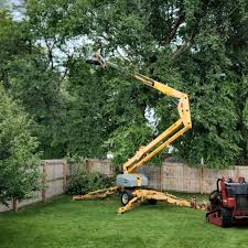 Best Arborist Consultation Services  in South Toms River, NJ