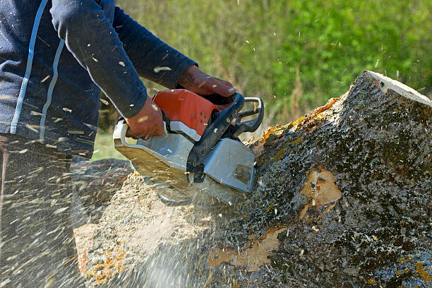 Mulching Services in South Toms River, NJ